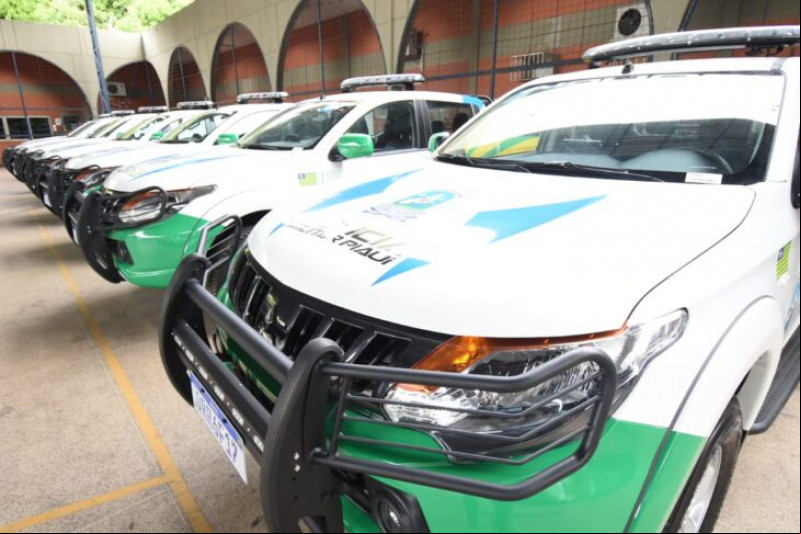 PM apreendeu 15 armas durante Operação Tiradentes - (Foto: Divulgação/Polícia Militar)