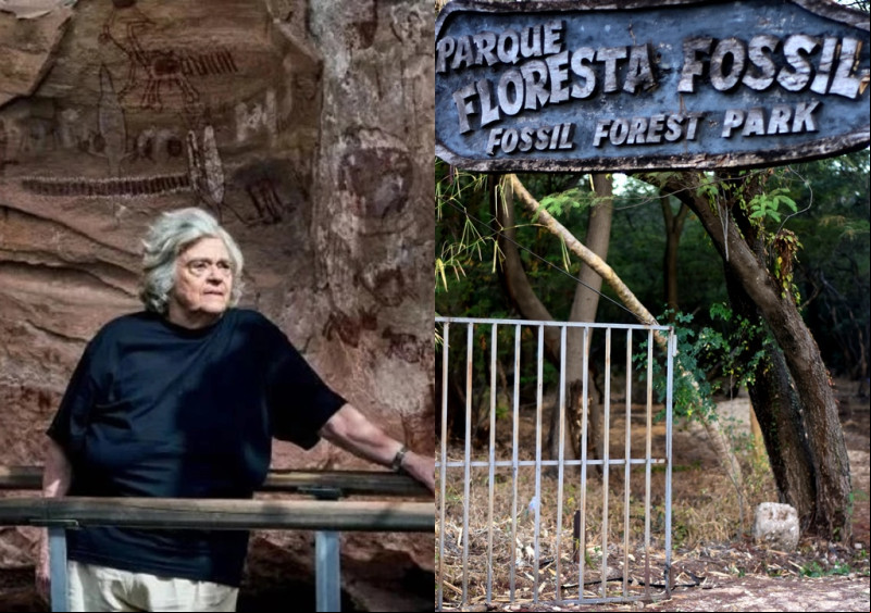 Parque Floresta Fóssil poderá receber nome da arqueóloga Niède Guidon