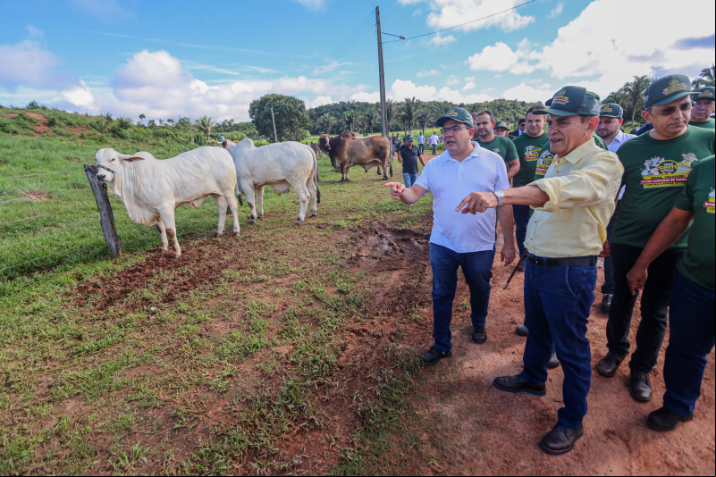 Rafael Fonteles lança campanha de vaci - (Gabriel Paulino / Ccom )