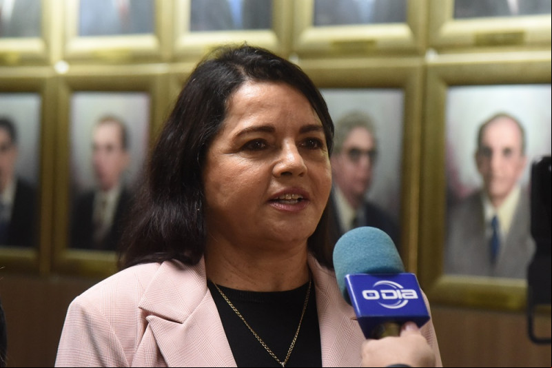 Sem confirmar apoio a Fábio Novo, Teresa Britto diz que seguirá diretrizes da federação