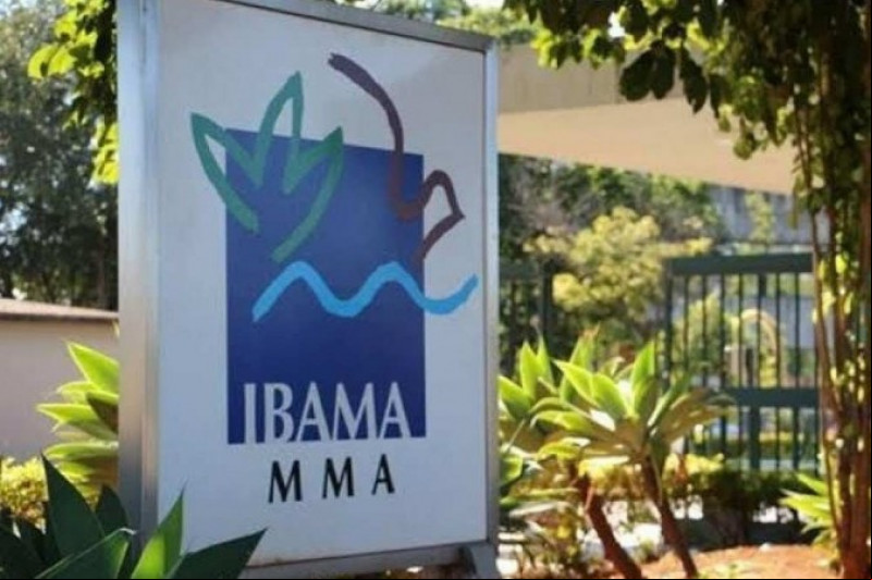 Concurso do Ibama: Cebraspe divulga resultado das provas; veja como consultar