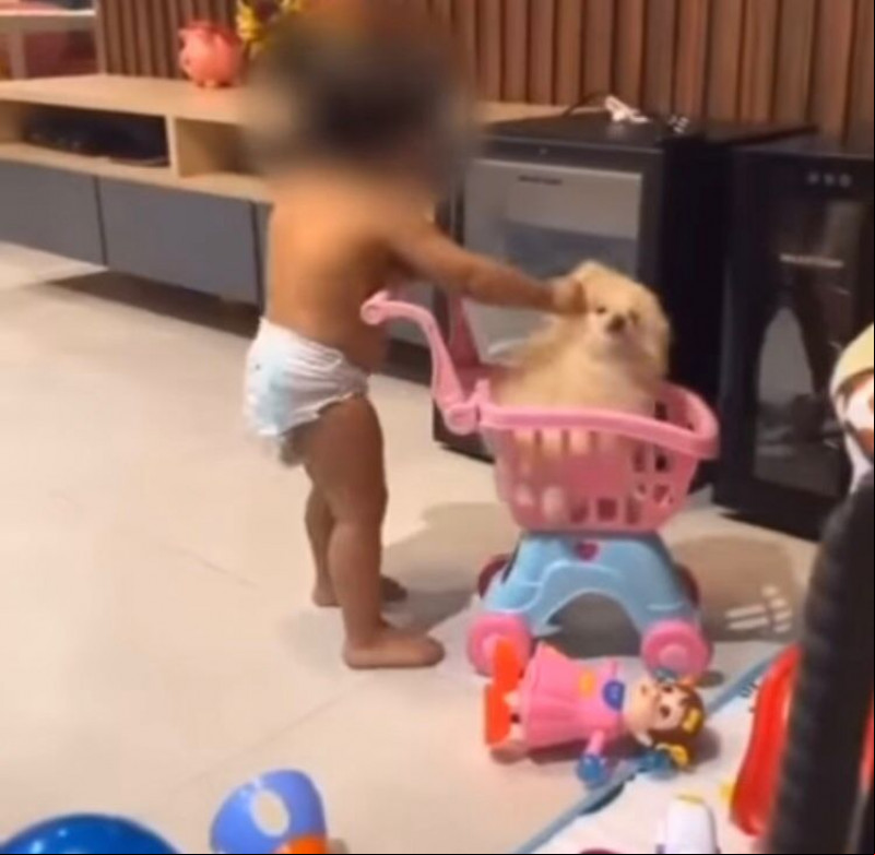 Criança é incentivada pela mãe a agredir animal em Teresina - (Reprodução/Instagram)