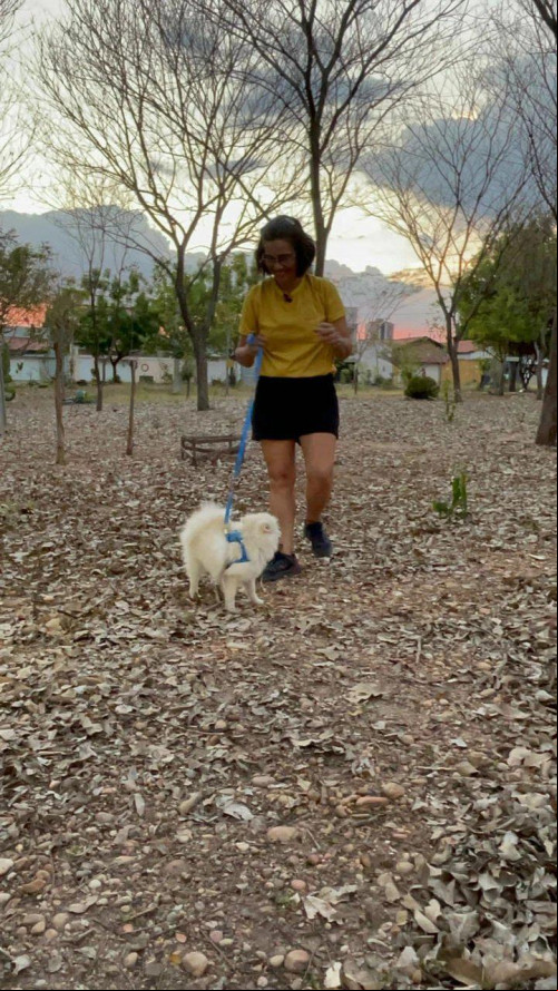 Necessidades básicas de um pet
