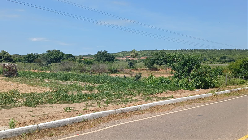 Mais 126 cidades do Piauí entram em estado de emergência por causa da seca