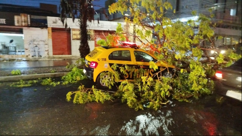 Árvore cai sobre viatura da Strans durante forte chuva em Teresina