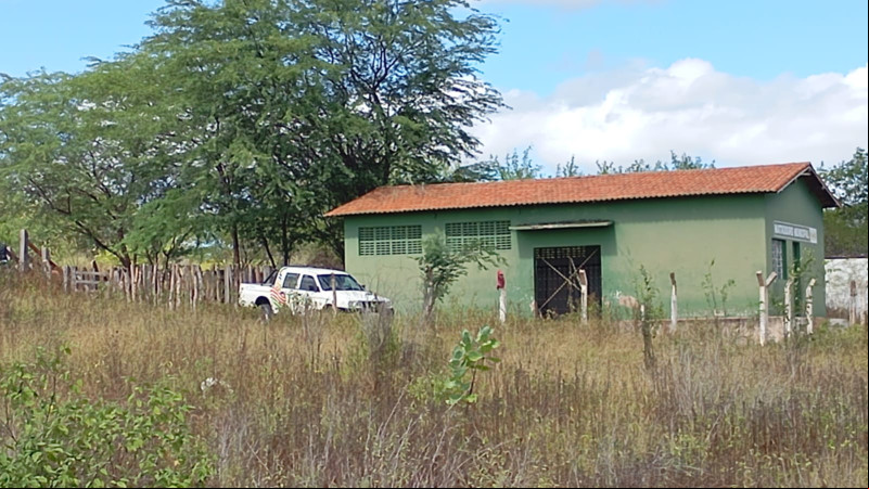 Animais feridos são postos para o abate no matadouro de Pio IX, denunciam vereadores - (Reprodução/Whatsapp)