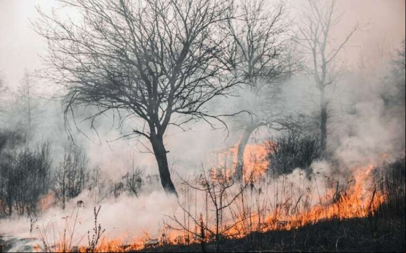 Inteligência artificial será usada para monitorar e prevenir incêndios no Piauí