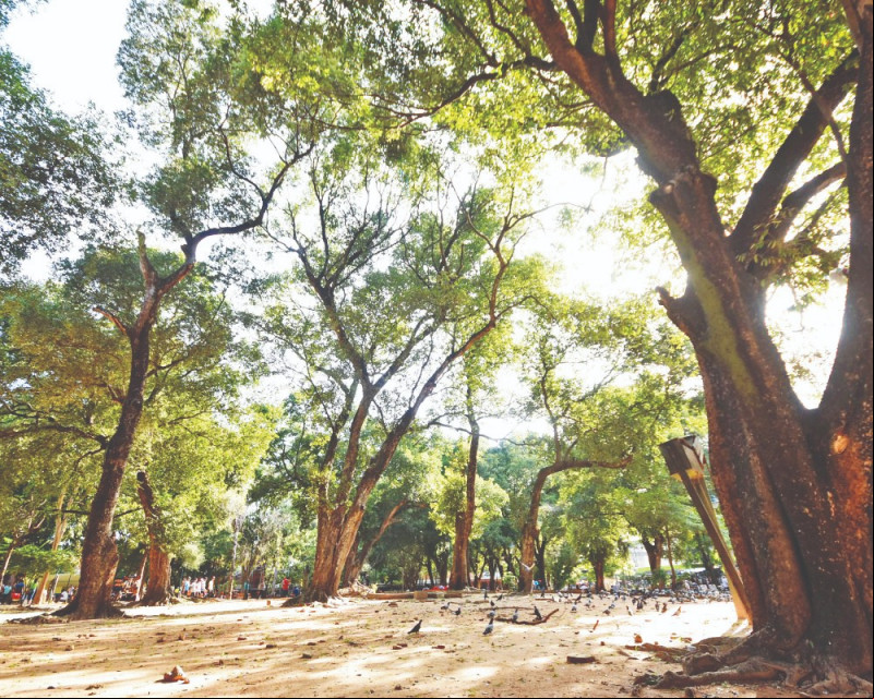 Zona Sul é a área de Teresina com o maior número de praças