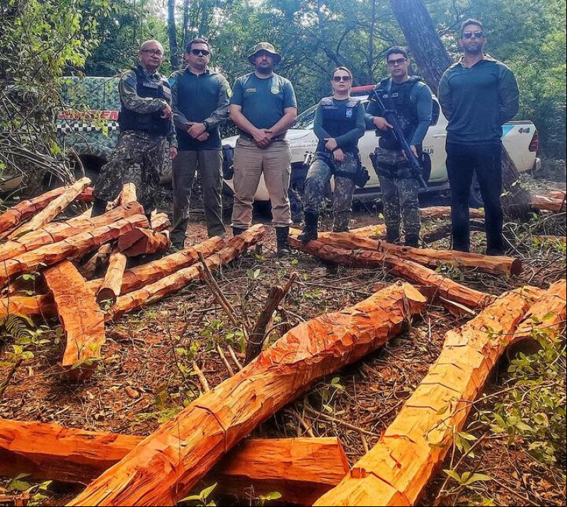 Operação "Carcará 01" combate desmatamento ilegal em seis municípios do Piauí