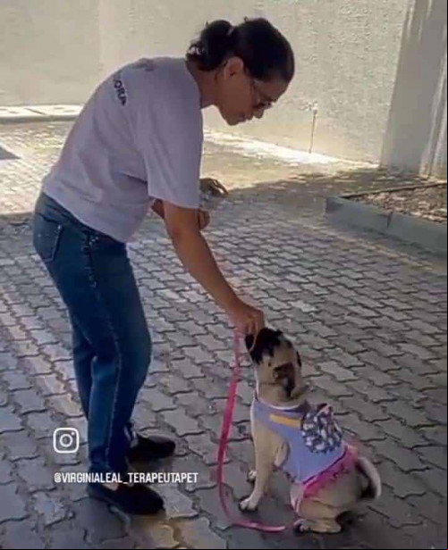 HOMENAGEM AO DIA INTERNACIONAL DA MULHER!
