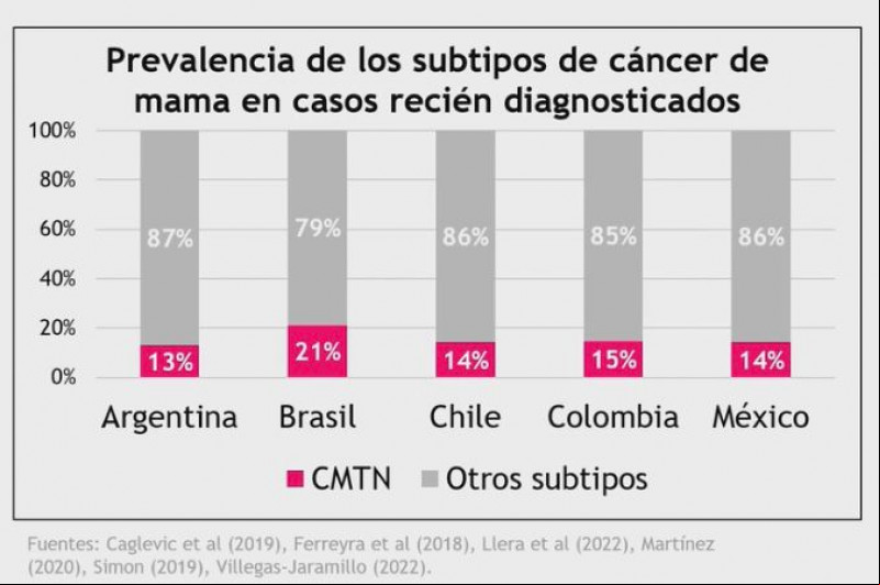 No Brasil, 21% das pacientes têm Câncer de Mama Triplo-negativo - (Divulgação/IHE)