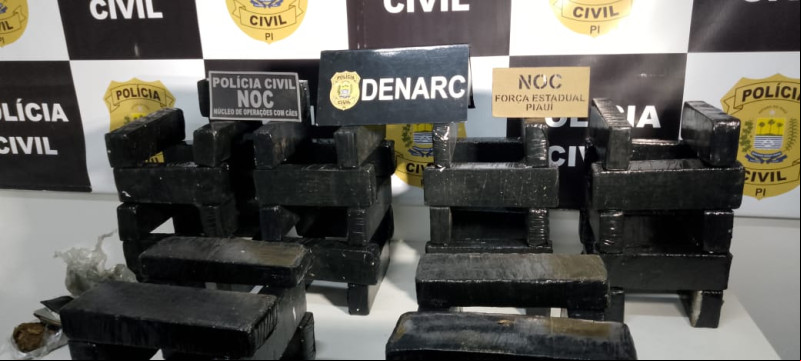 Denarc apreende 170 kg de drogas e prende casal em operação na zona sul de Teresina
