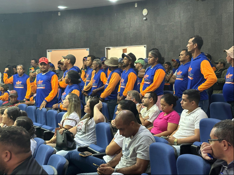 Aprovada lei que proíbe uso de animais em carroças em Teresina