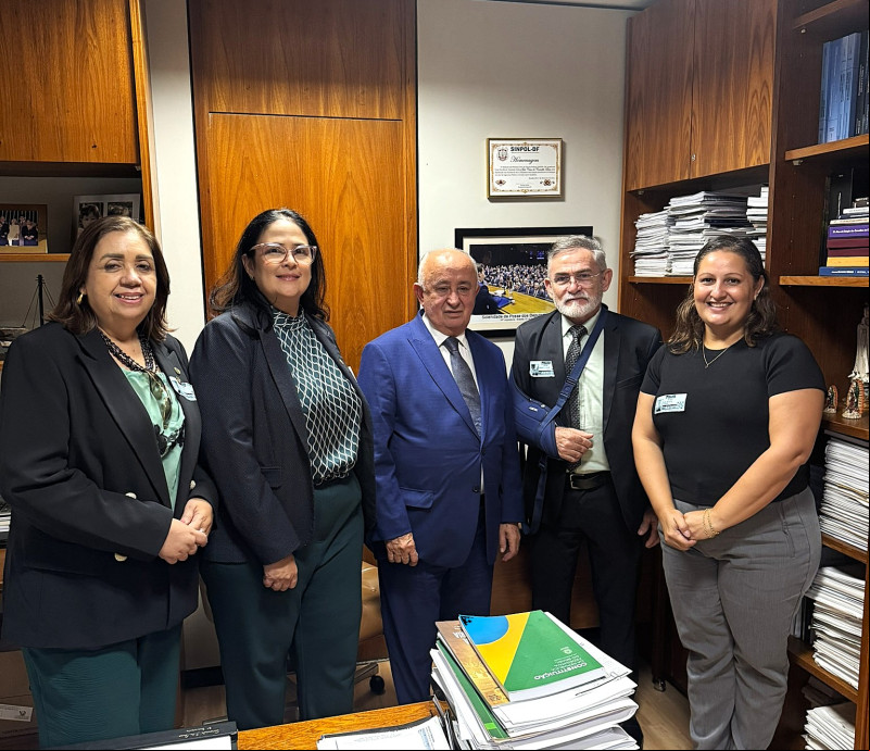 Parlamentares piauienses são acionados por veterinários em defesa da fiscalização e valorização profissional - (Divulgação CRVM-PI)