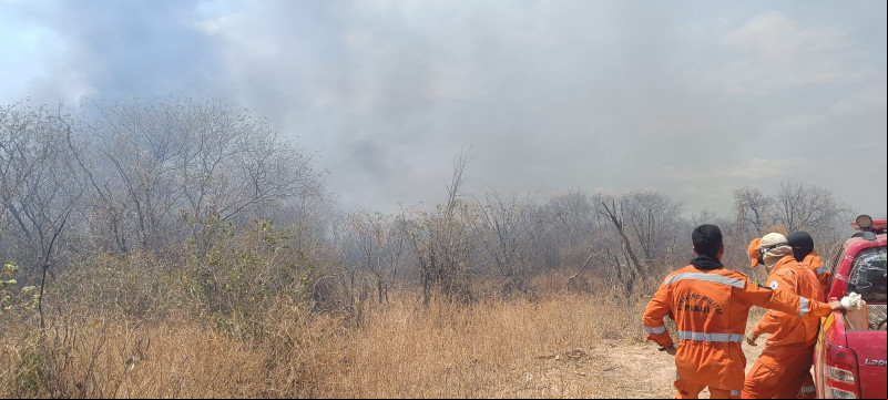 Bombeiros tentam combater incêndio em Pedro Laurentino; fogo ameaça propriedades