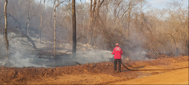 Registros do corpo de bombeiros combatendo incêndio no sul do Piauí - (Arquivo O DIA)