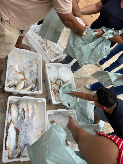 Polícia apreende cinco toneladas de pescado ilegal em São Raimundo Nonato
