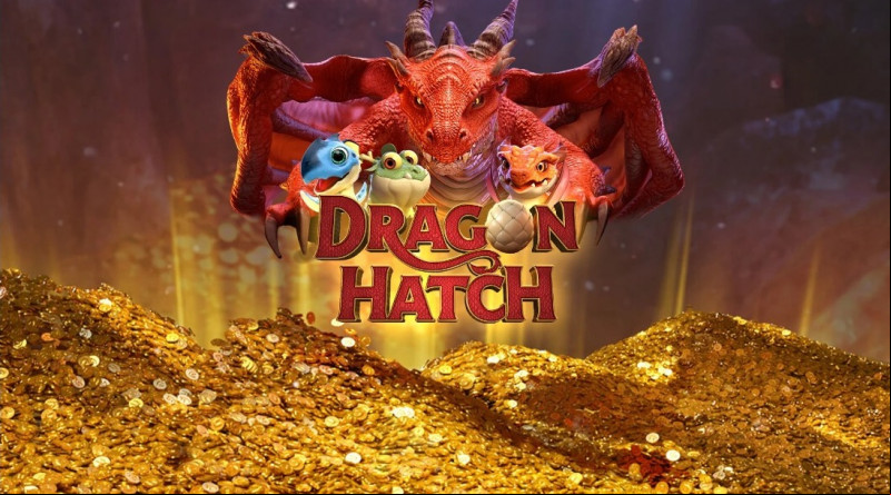 Dragon Hatch, aprenda a jogar o jogo do dragão