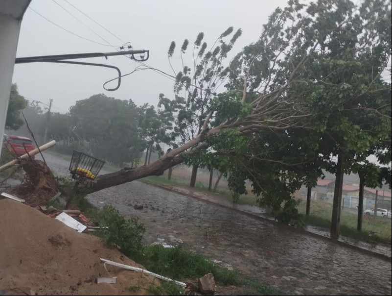 Zona Norte lidera os chamados da Defesa Civil durante o período chuvoso em Teresina