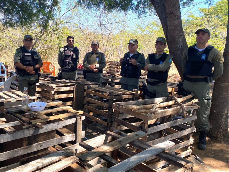 PM desarticula rinha de galos e autua suspeitos por crime de maus-tratos no Piauí