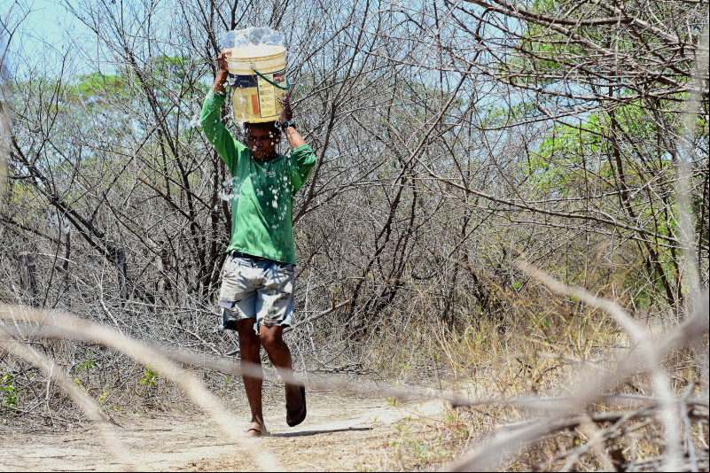Quando falta água nas gambiarras, os moradores do Lindalma Soares precisam caminhar cerca de 1 km para pegar água no Rio Parnaíba - (Jailson Soares/O Dia)