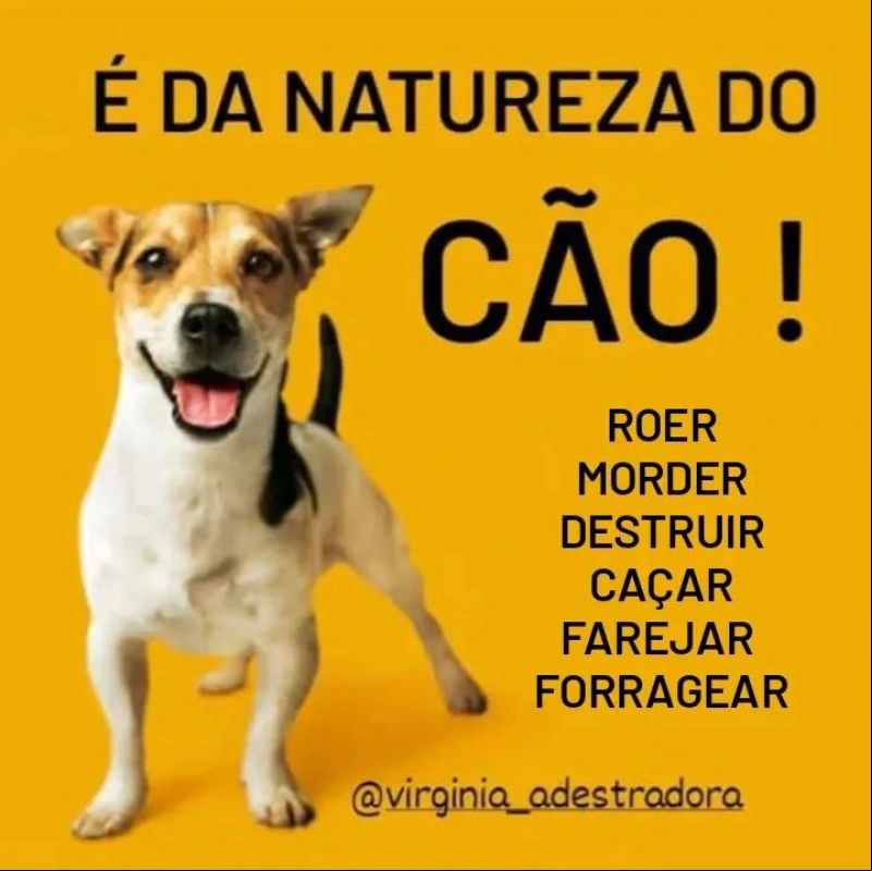 Conheça a espécie e evite maiores problemas