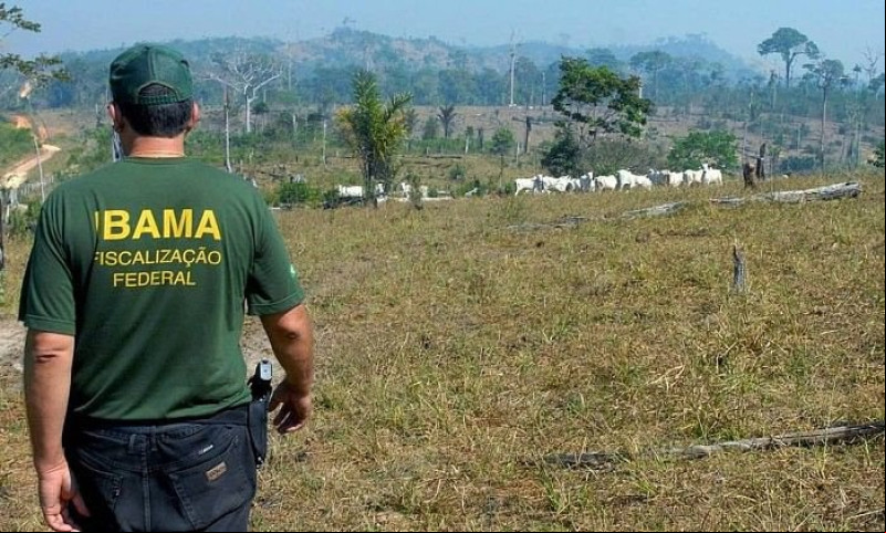 IBAMA abre edital de concurso público com vagas no Piauí; salários de até R$ 9,9 mil