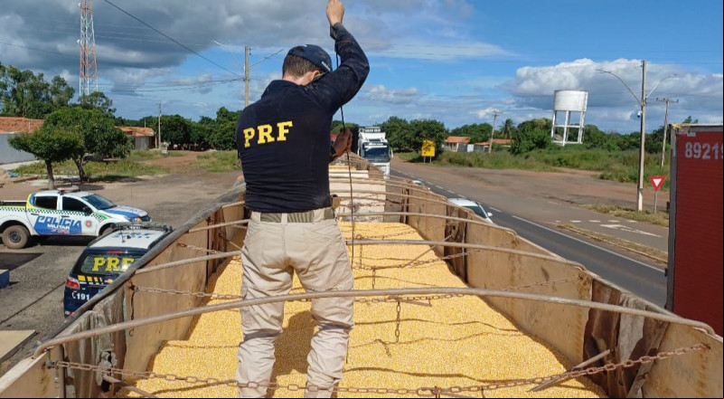 Droga estava escondida em carga de milho - (Divulgação / PRF)