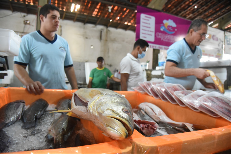 Censo levantará dados sobre permissionários de 21 mercados públicos de Teresina