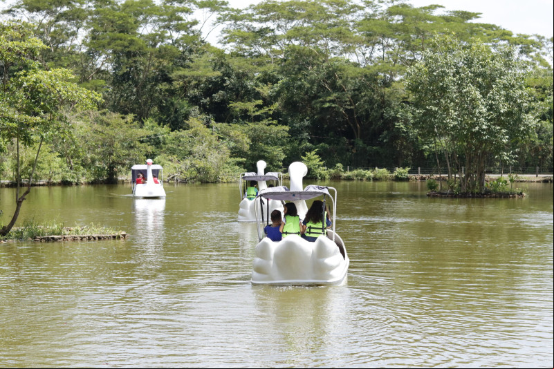 O Bioparque Zoobotânico do Piauí é uma área de proteção e conservação de fauna e flora - (Governo do Piauí)