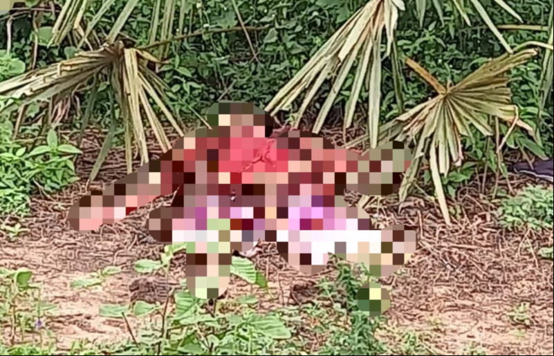 Corpo de homem desaparecido há um mês é encontrado em decomposição em Parnaíba