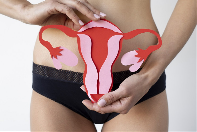 Fluxo menstrual - (Reprodução/Freepik)