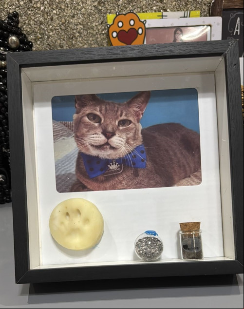 Além das cinzas, os tutores também recebem uma amostra do pelo, o molde e a impressão da patinha, e fotos do pet - (Arquivo pessoal)