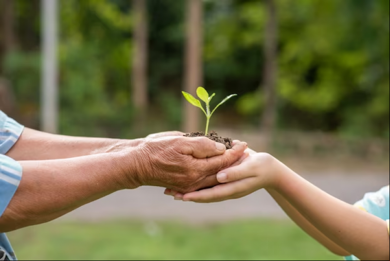 Dia Mundial do Meio Ambiente: educação ambiental é tema discutido no Brasil