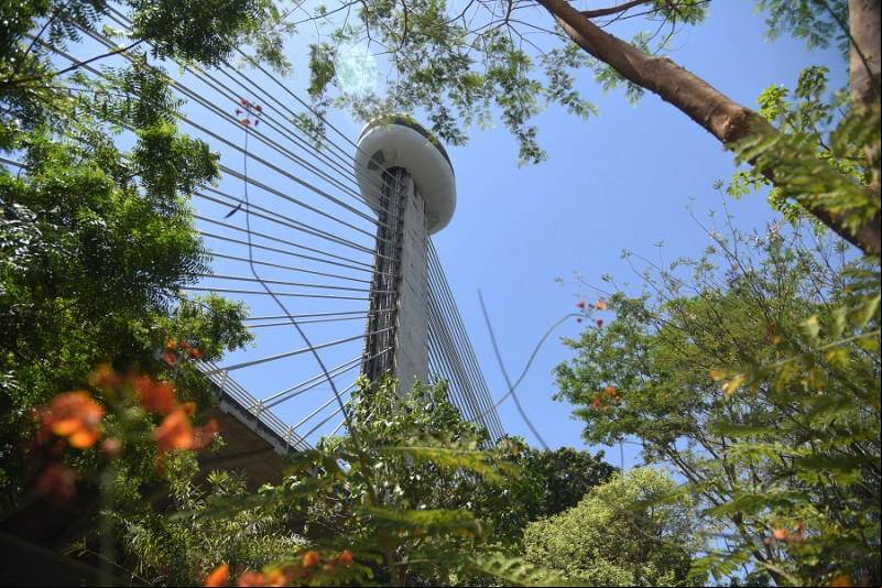 Ponte Estaiada, em Teresina. - (Assis Fernandes / O Dia)