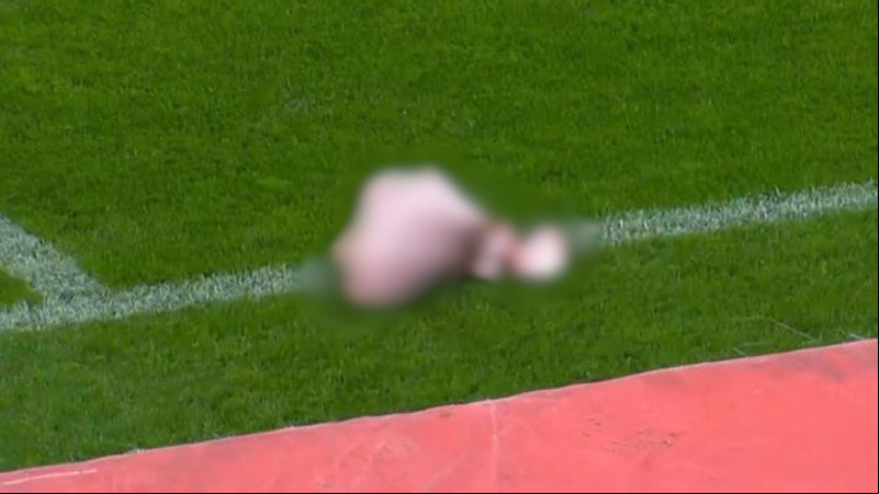 Torcida do Corinthians arremessa cabeça de porco durante jogo; veja se o time pode ser punido