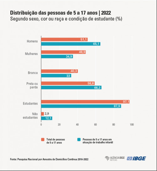 Dados da Pesquisa Nacional por Amostra de Domicílios (PNAD) - (Reprodução/IBGE)