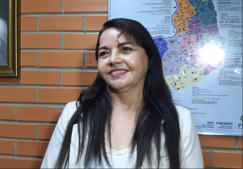 Teresa Britto não descarta a possibilidade de ser candidata a prefeita fora do PV: "Tudo pode acontecer"