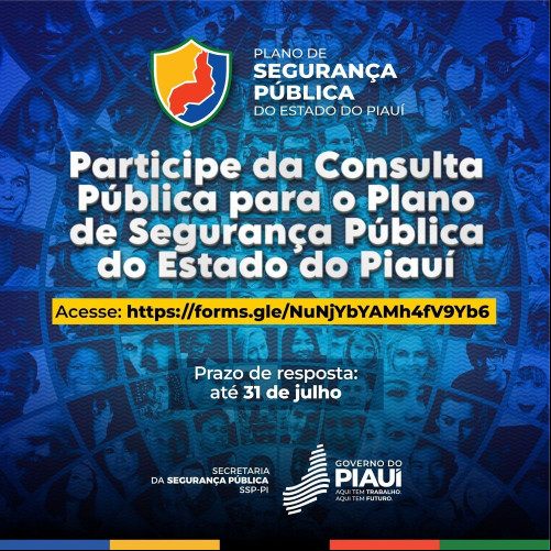 SSP-PI lança formulário de consulta pública para o Plano Estadual de Segurança Pública - (Divulgação/SSP-PI)