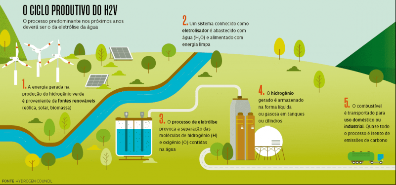 Veja como funciona produção de H2V - (Reprodução/FAPESP)