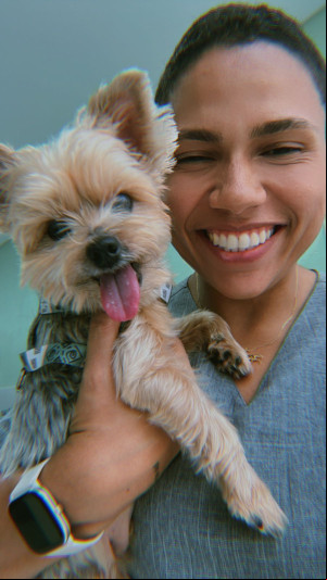 Profissões para trabalhar com animais - Fisioterapeuta pet