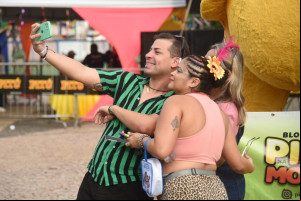 Pinto na Morada