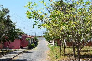 Bairro Vamos Ver o Sol, zona Sul de Teresina