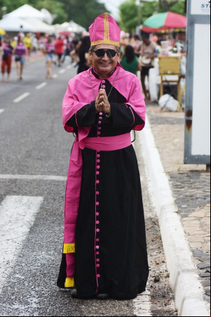 Fantasias no Corso de Teresina 2024