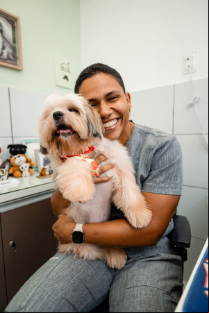 Profissões para trabalhar com animais - Fisioterapeuta pet